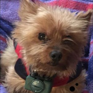 Meet your Posher, Alma